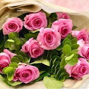 Meet your Posher, Ellen